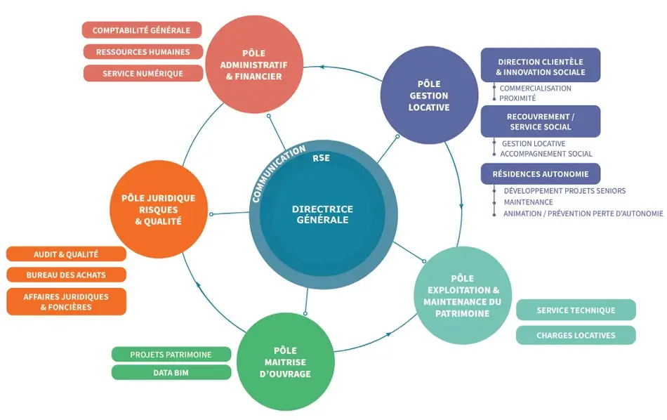 Un schéma organisationnel de la société