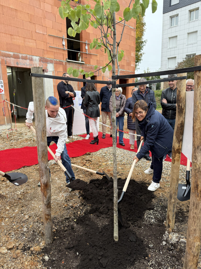 Plantation du premier arbre